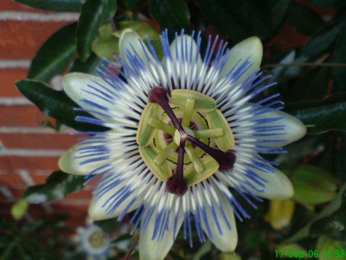 natuurfoto's