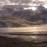 natuurfoto's