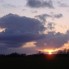natuurfoto's