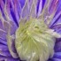 natuurfoto's