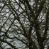 natuurfoto's
